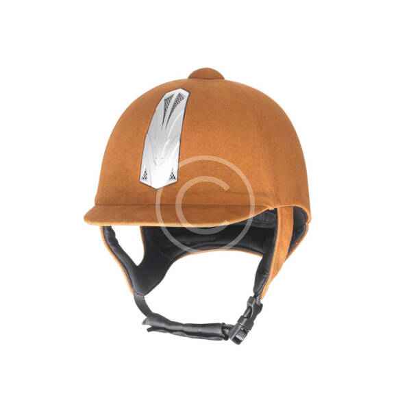 Matte Shell Shield